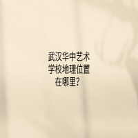 武汉华中艺术学校地理位置在哪里？