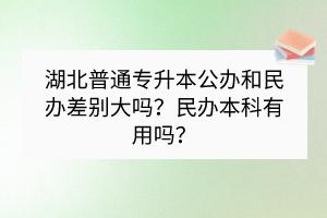 湖北普通专升本公办和民办差别大吗？民办本科有用吗？