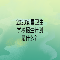 2023宜昌卫生学校招生计划是什么？
