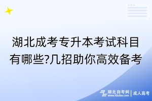 湖北成考专升本考试科目有哪些?几招助你高效备考