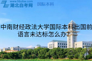 中南财经政法大学国际本科出国前语言未达标怎么办？  