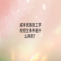 咸丰民族技工学校招生条件是什么样的？