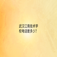 武汉江南技术学校电话是多少？