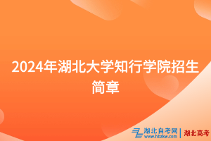 2024年湖北大学知行学院招生简章