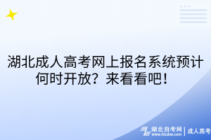 湖北成人高考网上报名系统预计何时开放？来看看吧！