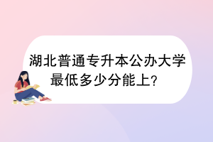 湖北普通专升本公办大学最低多少分能上？