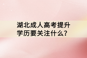 湖北成人高考提升学历要关注什么？
