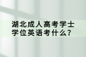 湖北成人高考学士学位英语考什么？