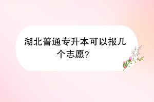 湖北普通专升本可以报几个志愿？
