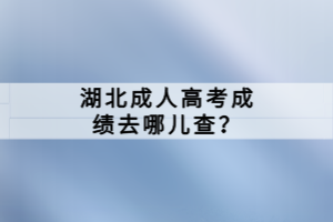 湖北成人高考成绩去哪儿查？
