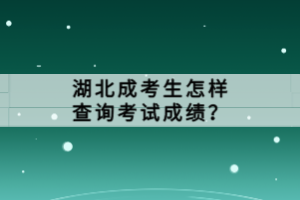 湖北成考生怎样查询考试成绩？