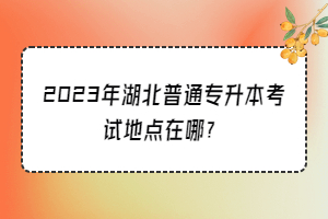 2023年湖北普通专升本考试地点在哪？