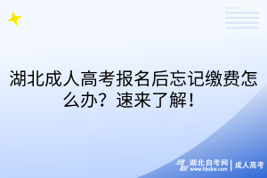 湖北成人高考报名后忘记缴费怎么办？速来了解！