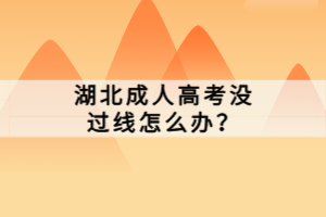 湖北成人高考没过线怎么办？