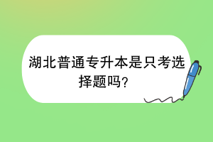 湖北普通专升本是只考选择题吗？