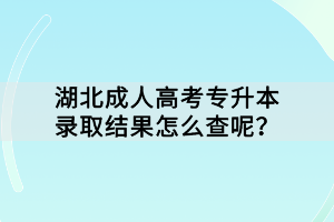 湖北成人高考专升本录取结果怎么查呢？