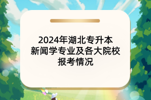 2024年湖北专升本网络与新媒体专业及各大院校报考情况