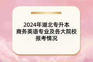 ​2024年湖北专升本商务英语专业及各大院校报考情况