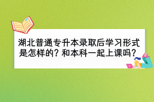 湖北普通专升本录取后学习形式是怎么样的？和本科一起上课吗？