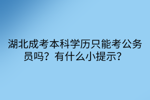 湖北成考本科学历只能考公务员吗？有什么小提示？