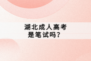 湖北成人高考是笔试吗？