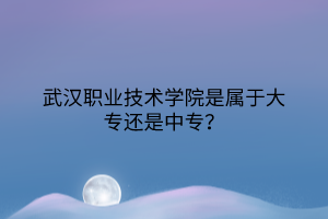 武汉职业技术学院是属于大专还是中专？