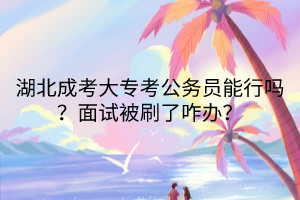 湖北成考大专考公务员能行吗？面试被刷了咋办？