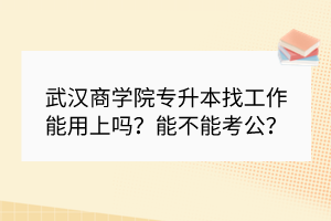 武汉商学院专升本找工作能用上吗？能不能考公？