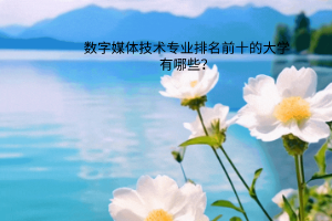 数字媒体技术专业排名前十的大学有哪些？