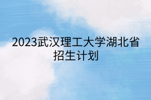 2023武汉理工大学湖北省招生计划
