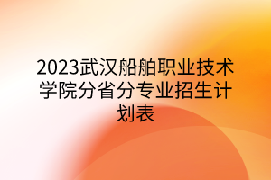 2023武汉船舶职业技术学院分省分专业招生计划表