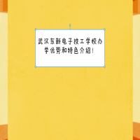 武汉东新电子技工学校办学优势和特色