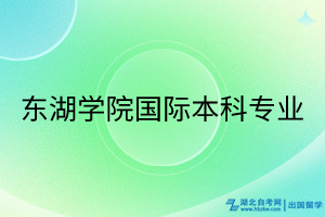 东湖学院国际本科专业