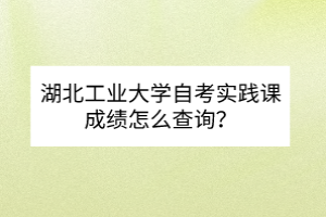 湖北工业大学自考实践课成绩怎么查询？