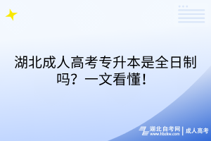 湖北成人高考专升本是全日制吗？一文看懂！