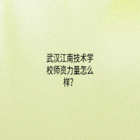 武汉江南技术学校师资力量怎么样？
