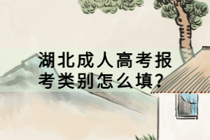 湖北成人高考报考类别怎么填？