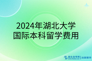 2024年湖北大学国际本科留学费用