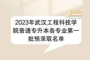 2023年武汉工程科技学院普通专升本各专业第一批预录取名单
