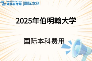 2025年伯明翰大学国际本科费用是多少？