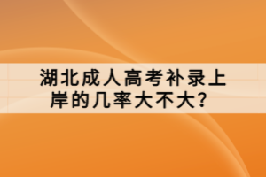 湖北成人高考补录上岸的几率大不大？