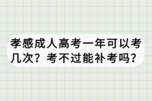 孝感成人高考一年可以考几次？考不过能补考吗？