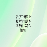 武汉三新职业技术学校的办学条件是怎么样的？