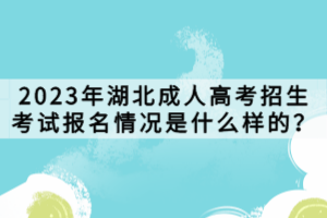 2023年湖北成人高考招生考试报名情况是什么样的？