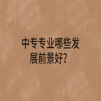 中专专业哪些发展前景好？