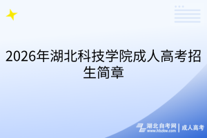 2026年武汉纺织大学成人高考招生简章