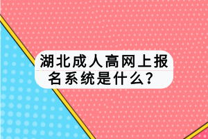 湖北成人高网上报名系统是什么？