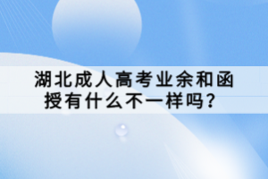 湖北成人高考业余和函授有什么不一样吗？