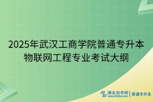2025年武汉工商学院普通专升本物联网工程专业考试大纲