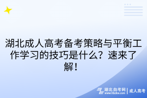 湖北成人高考备考策略与平衡工作学习的技巧是什么？速来了解！